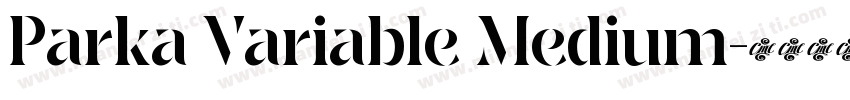 Parka Variable Medium字体转换